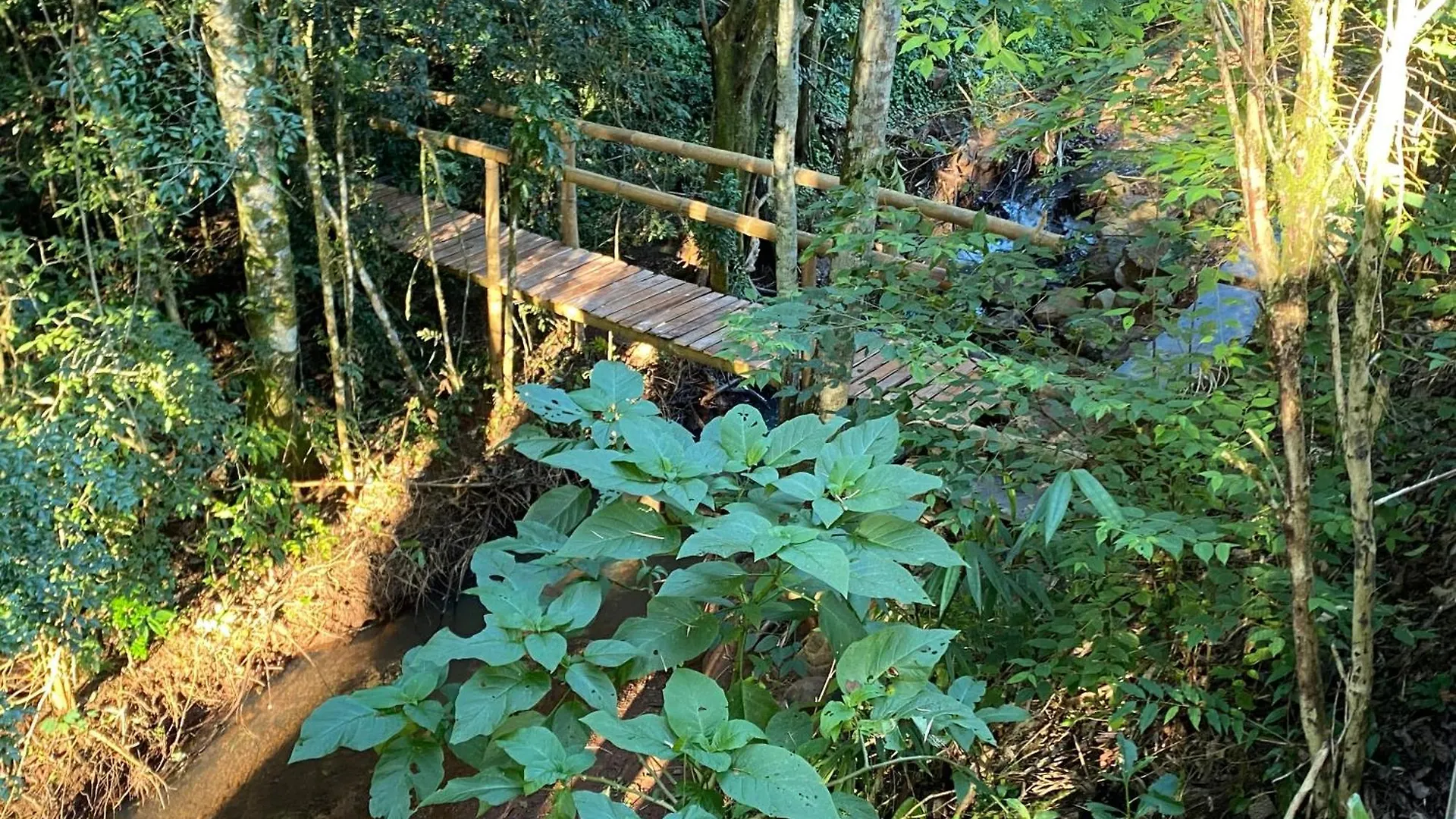 Sitio Novo Pousada بيراتوبا فندق